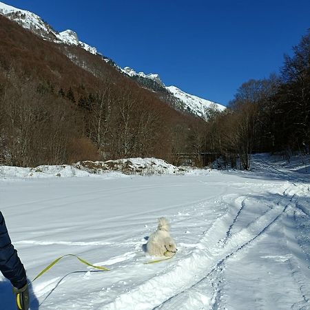 Стаи За Гости Рила 외부 사진
